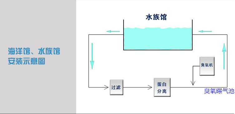 海洋館過濾，蛋分，臭氧，曝氣池.png